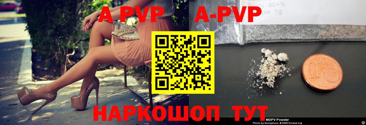 Alfa_PVP СК КРИС Ачхой-Мартан