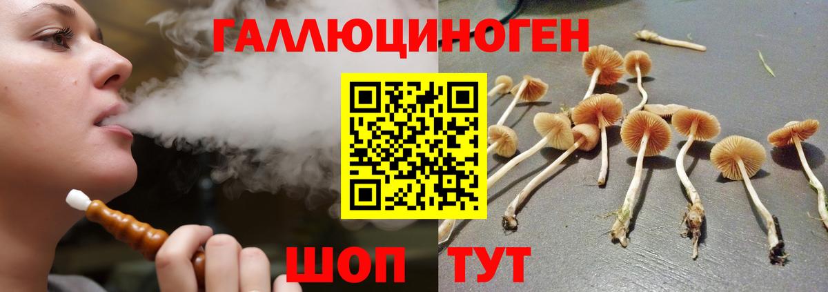Галлюциногенные грибы MAGIC MUSHROOMS  купить наркотики цена  Вход с VPN  Ачхой-Мартан  Галлюциногенные грибы мицелий 